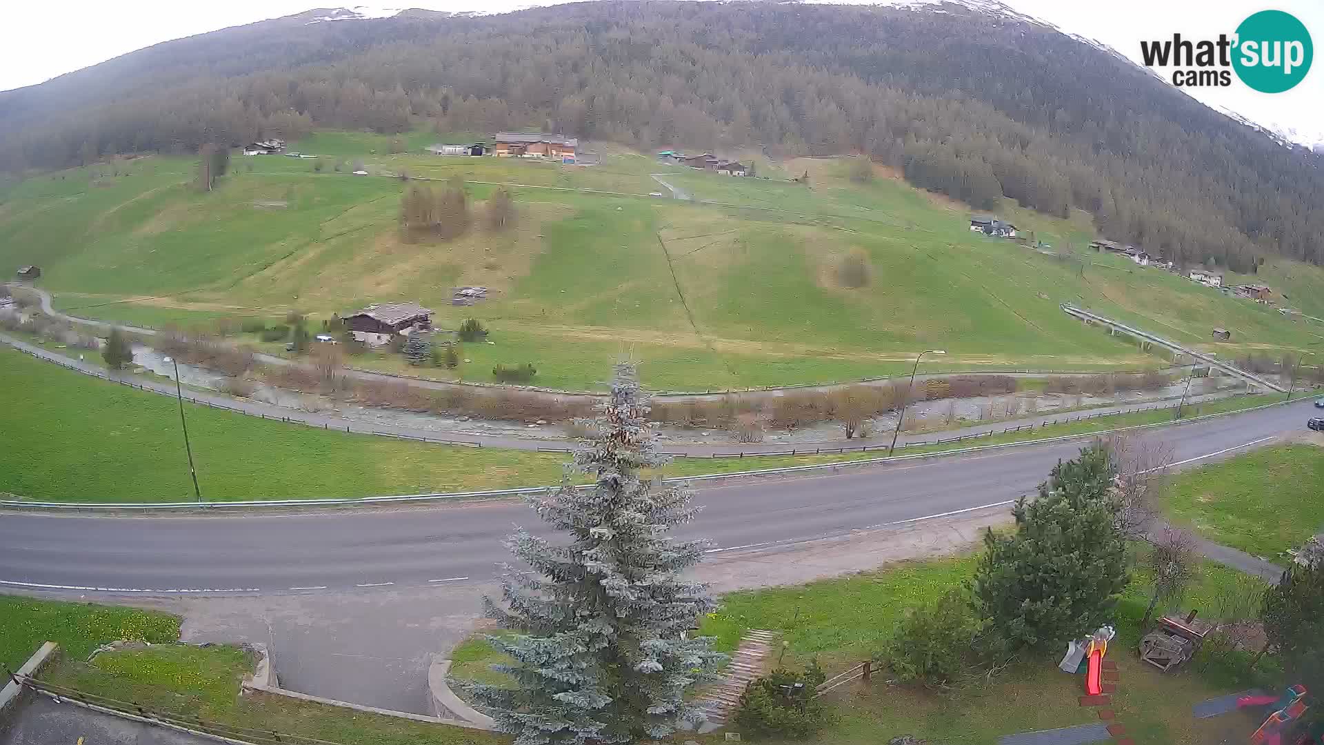 Webcam Livigno Hotel Primula