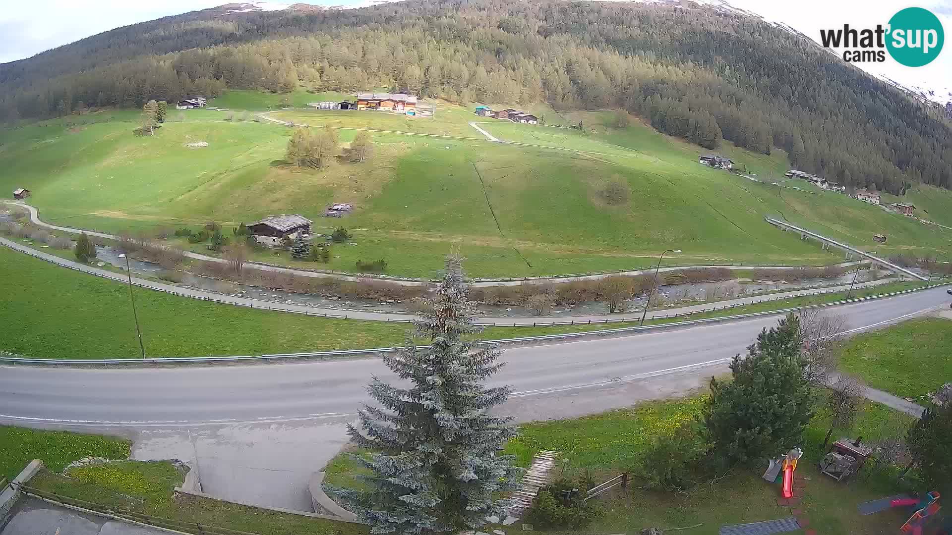 Web Cam Livigno | Hotel Primula