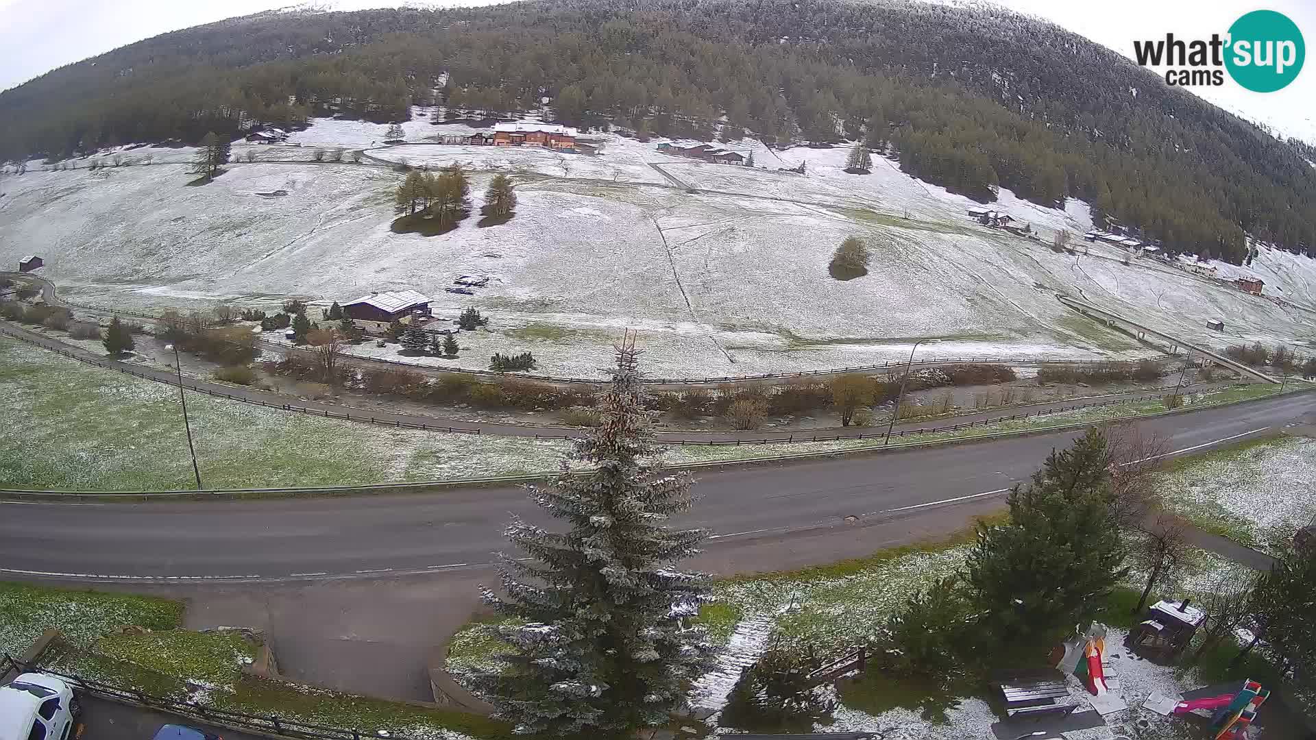 Camera Livigno Hotel Primula | ESQUIAR