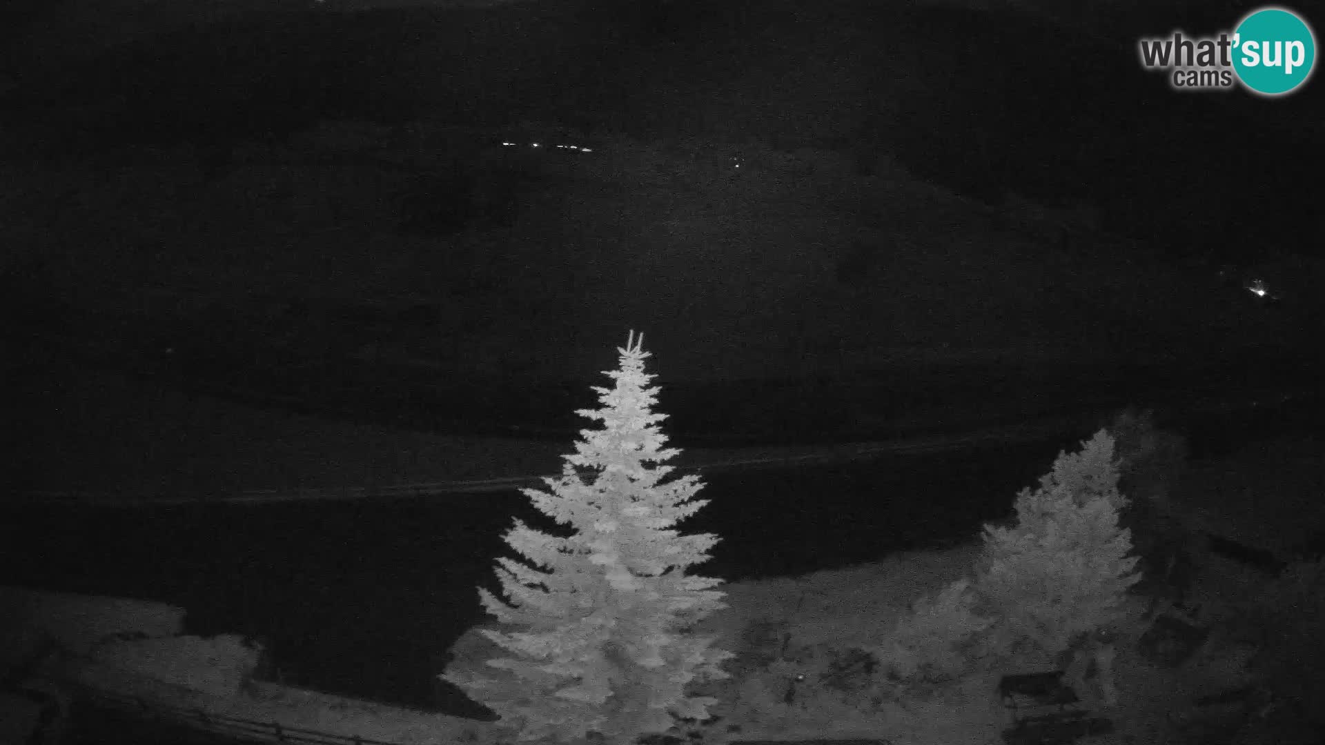 Webcam Livigno Hotel Primula