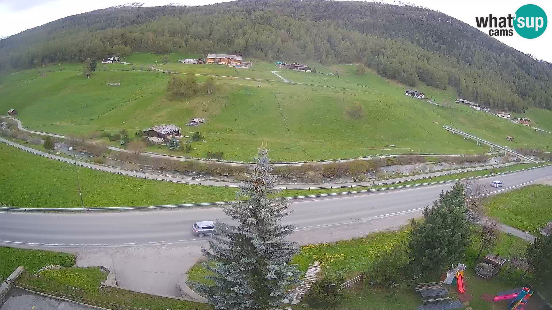 Livigno Cam Hotel Primula | Livigno smučišče