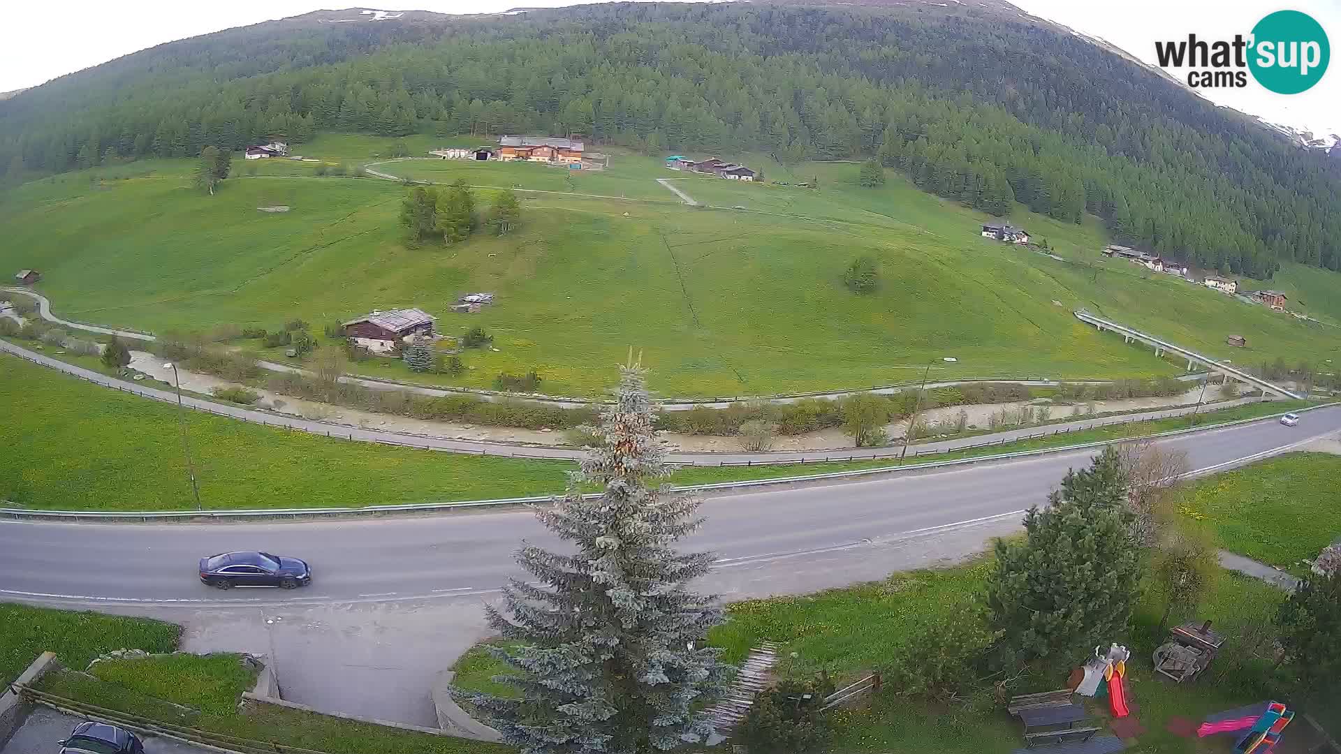 Webcam Livigno Hotel Primula