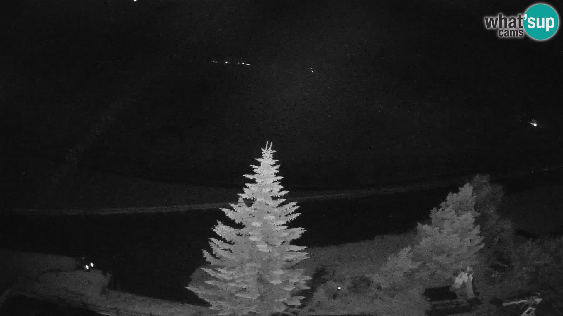 Livigno Cam Hotel Primula | Livigno smučišče