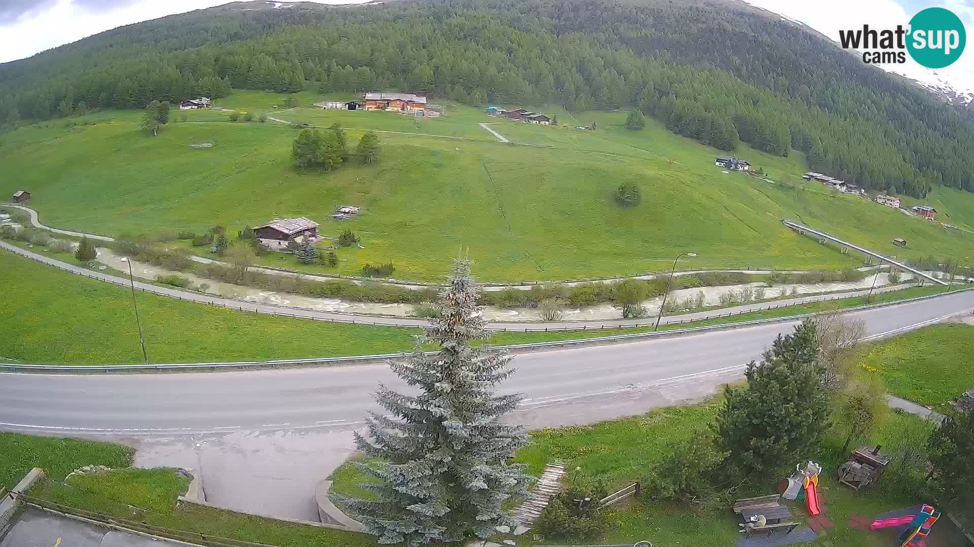 Web Cam Livigno | Hotel Primula