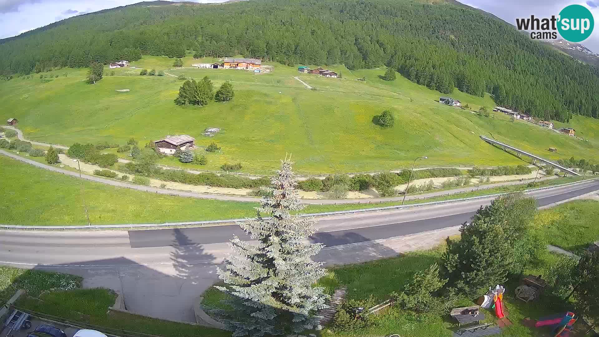 Livigno Cam Hotel Primula | Livigno smučišče