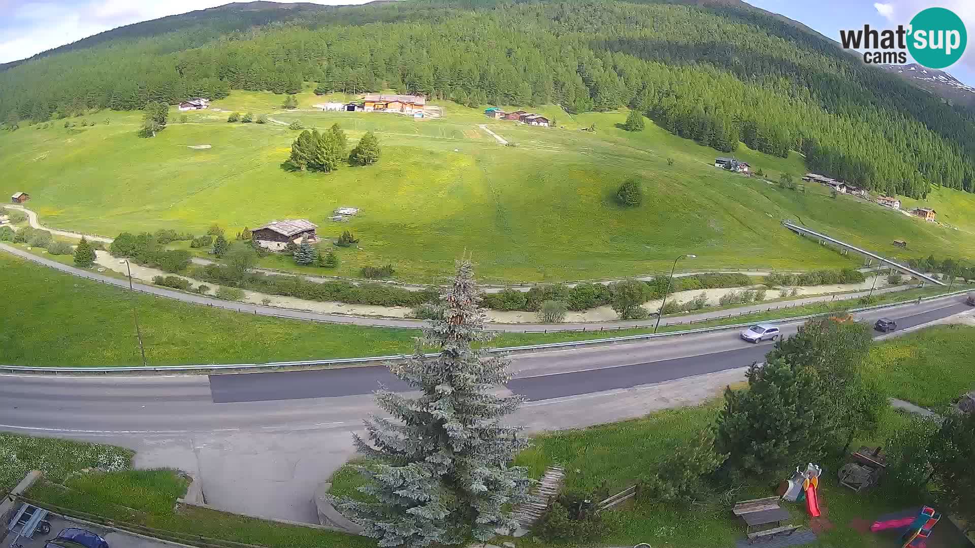 Webcam Livigno Hotel Primula