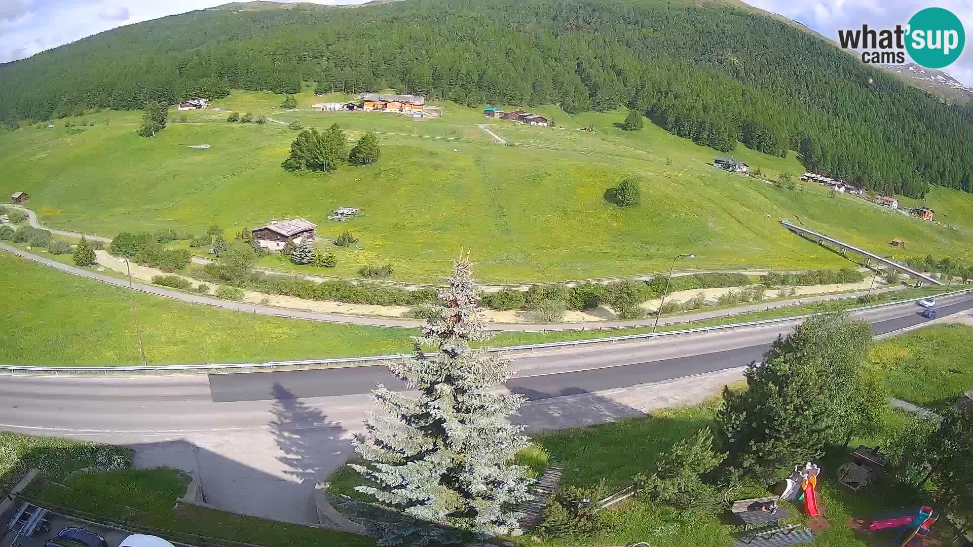 Webcam Livigno Hotel Primula