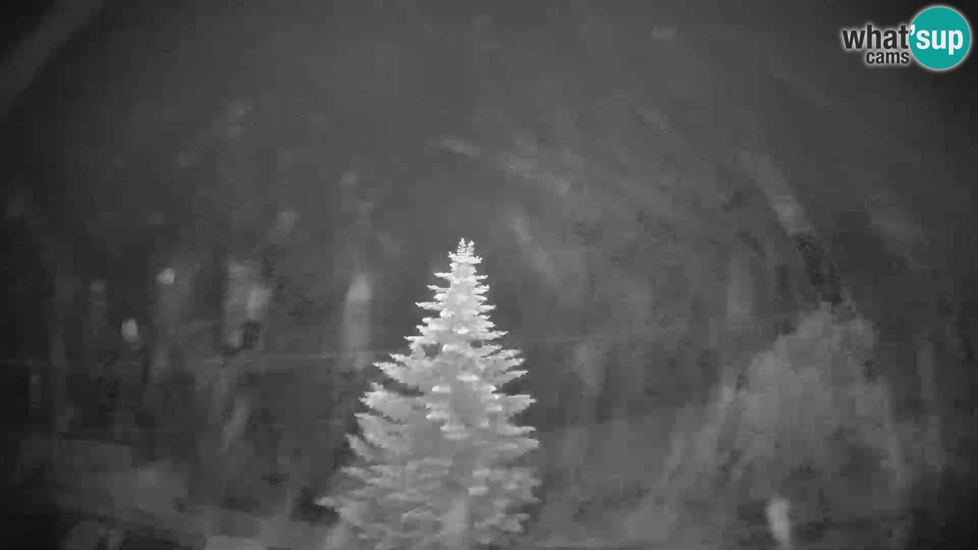 Livigno webcam LIVE Hotel Primula