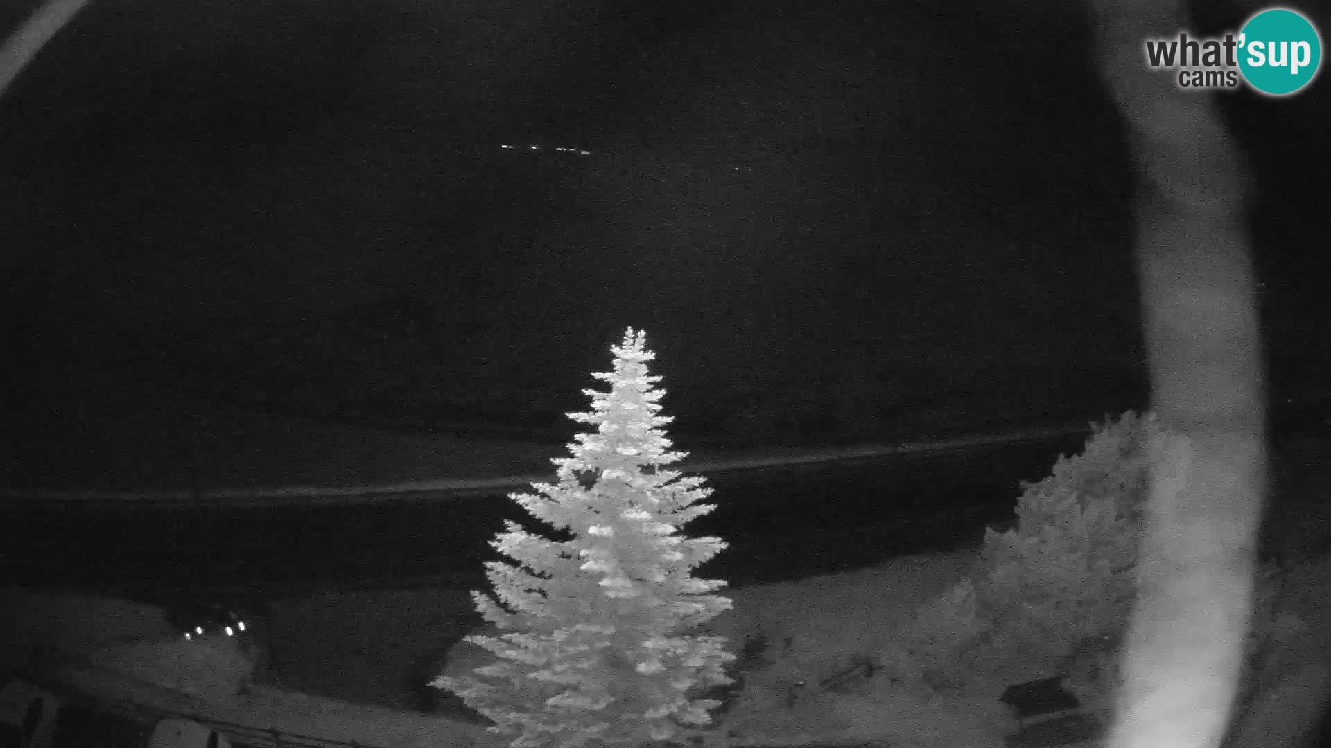 Livigno webcam LIVE Hotel Primula