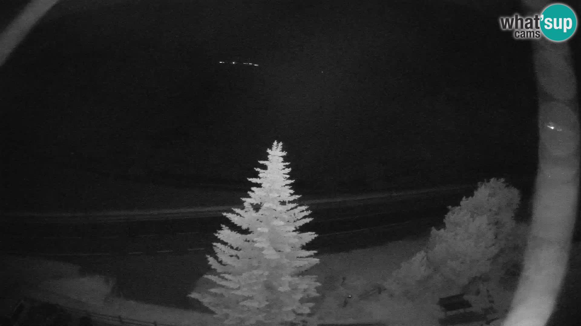 Livigno webcam LIVE Hotel Primula