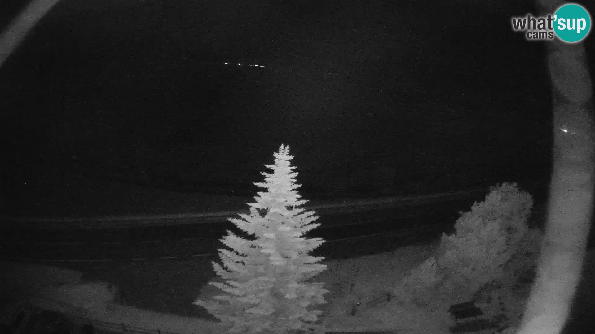 Livigno webcam LIVE Hotel Primula