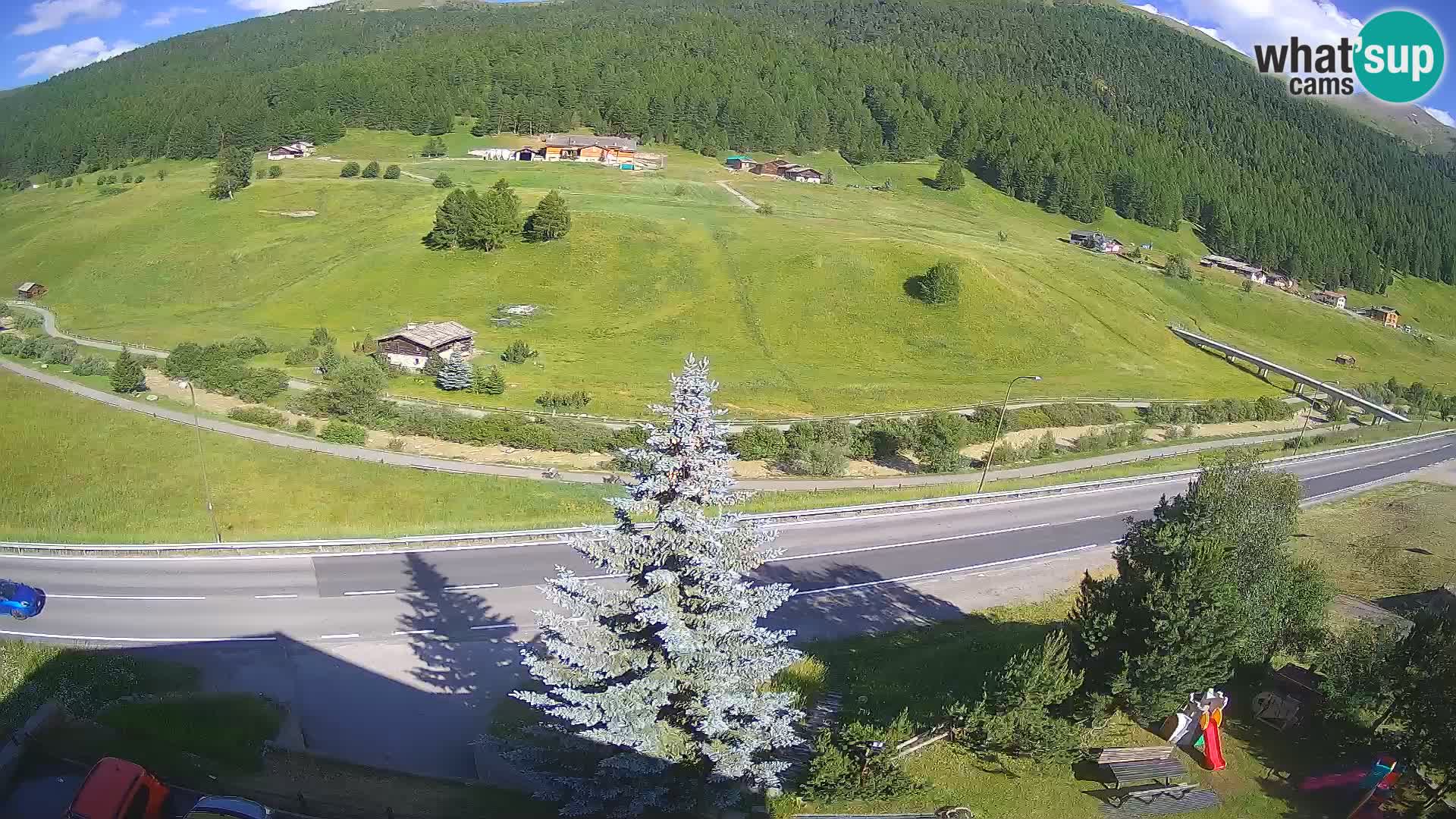 Livigno Cam Hotel Primula | Livigno smučišče
