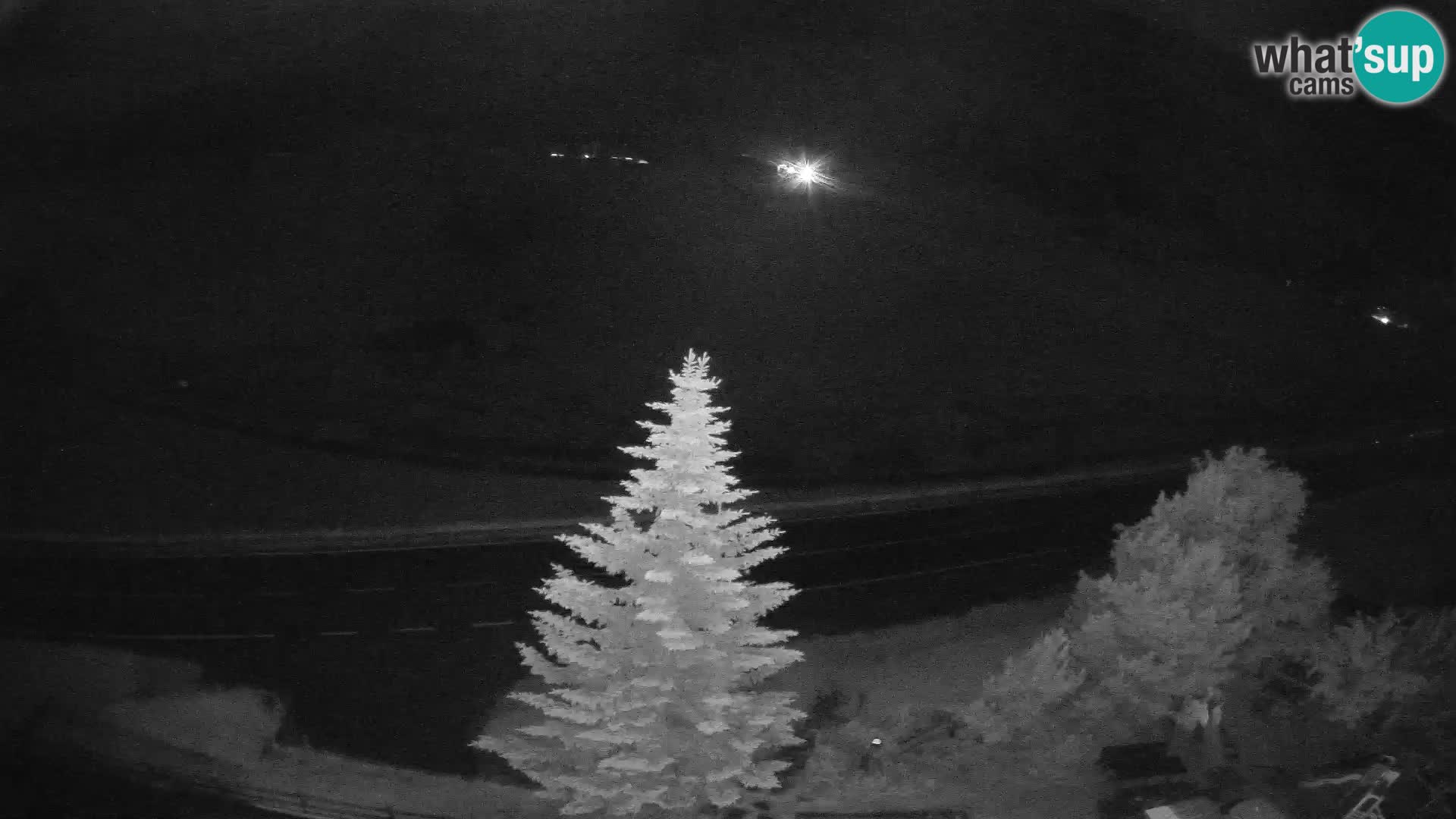 Livigno Cam Hotel Primula | Livigno smučišče