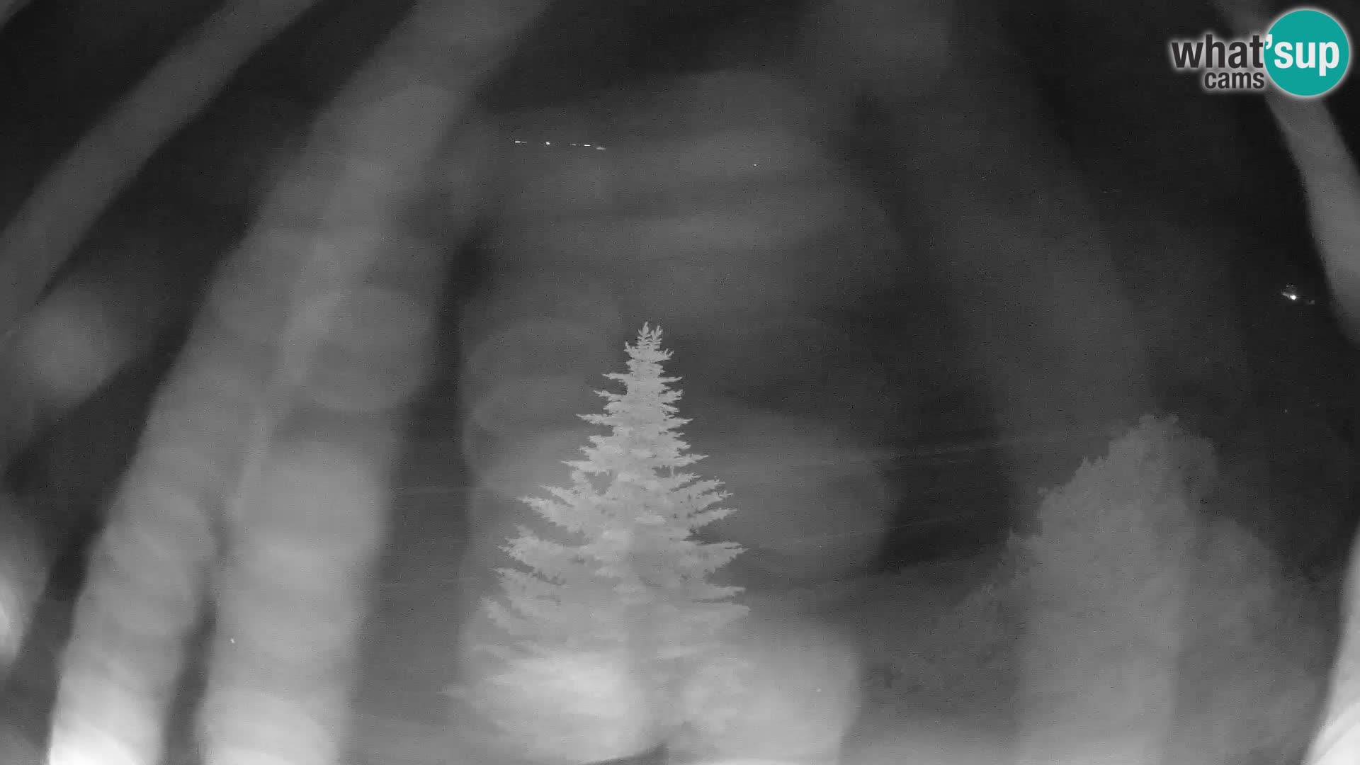 Livigno webcam LIVE Hotel Primula