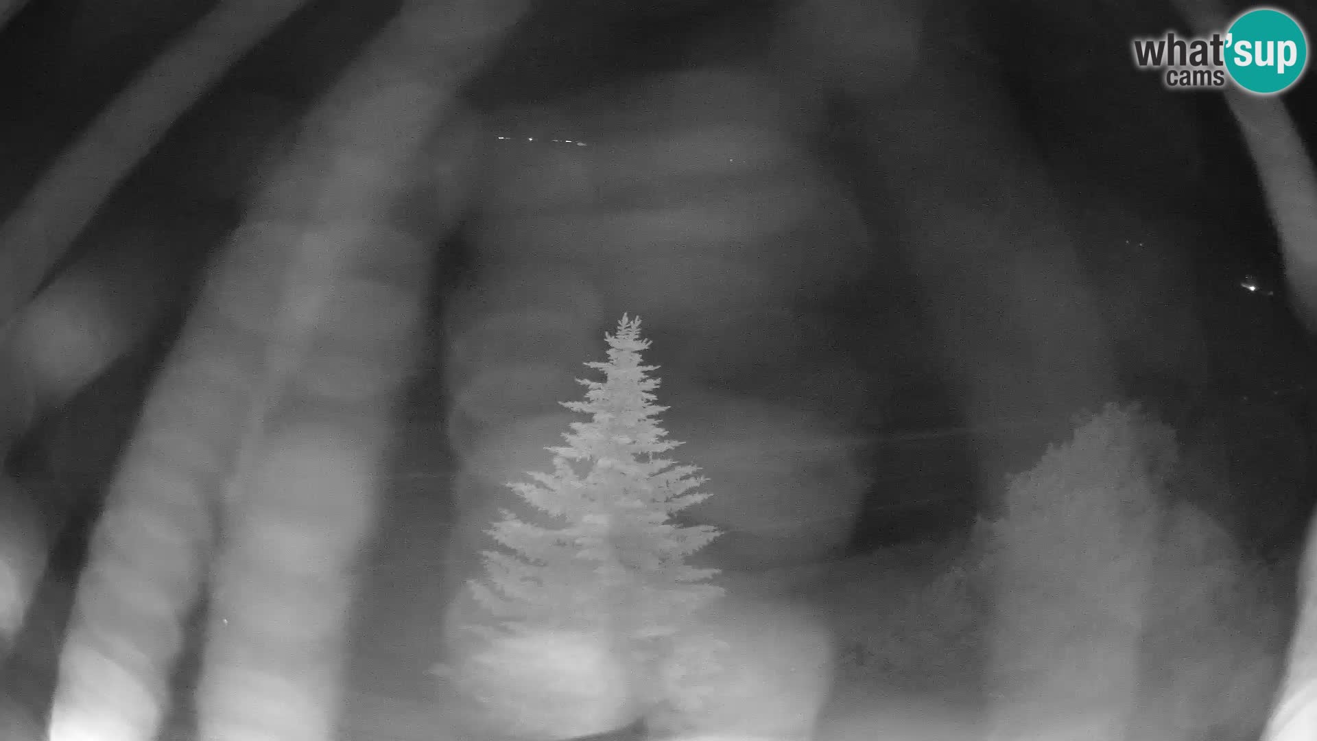 Livigno webcam LIVE Hotel Primula