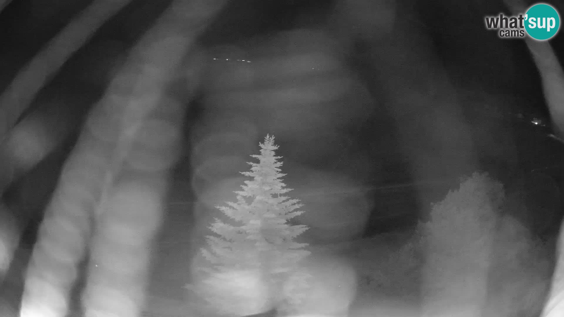 Livigno webcam LIVE Hotel Primula