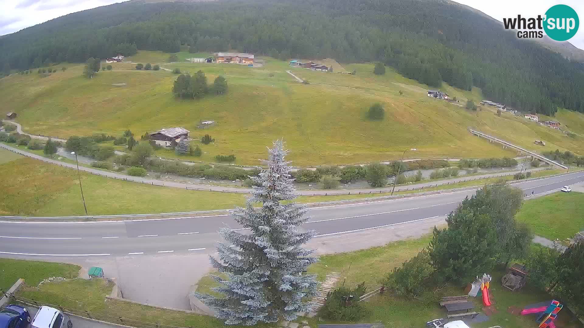 Webcam Livigno Hotel Primula