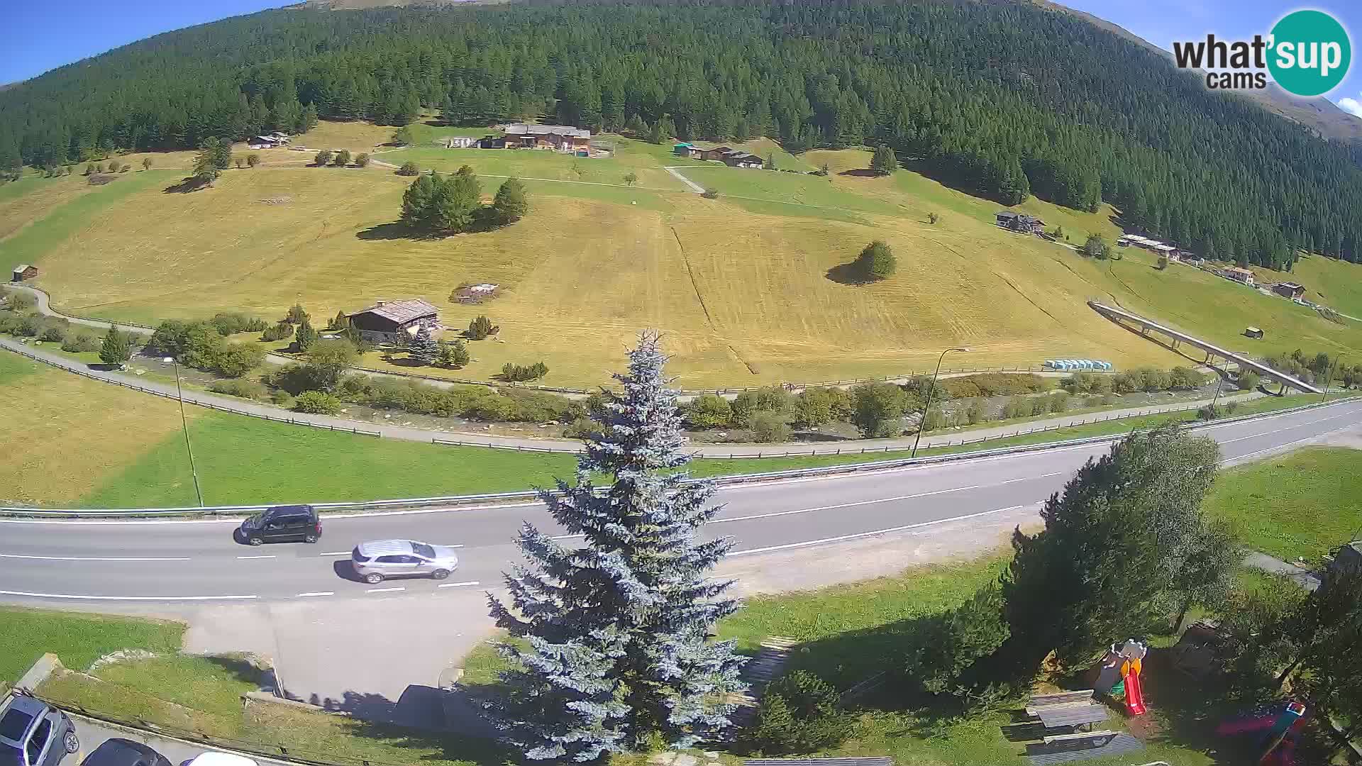 Webcam Livigno Hotel Primula