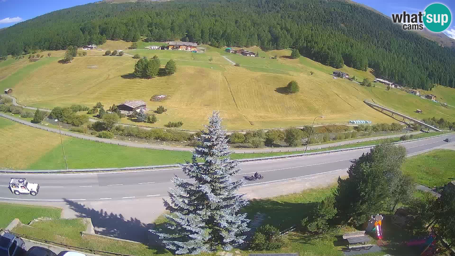 Livigno Cam Hotel Primula | Livigno smučišče