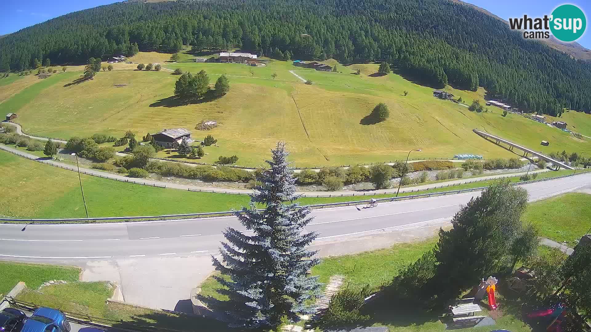 Livigno Cam Hotel Primula | Livigno smučišče