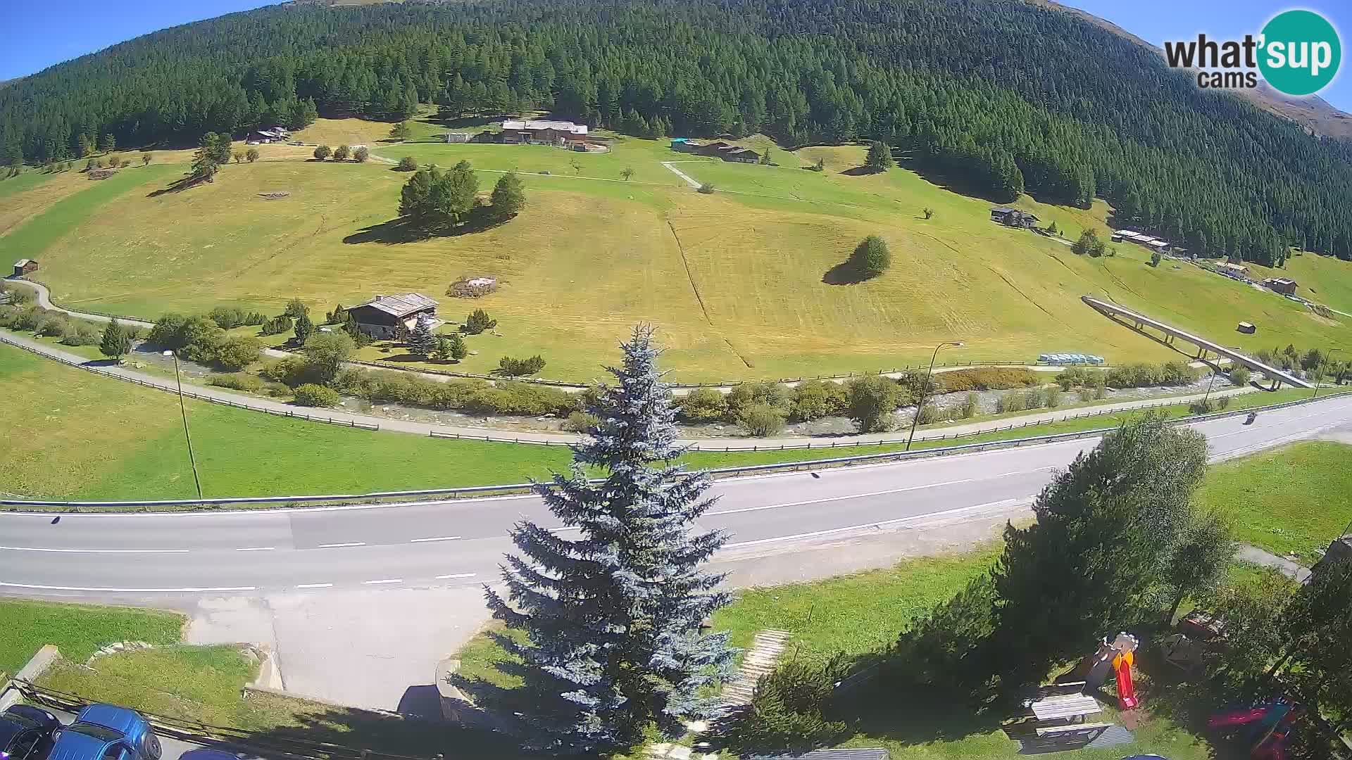 Webcam Livigno Hotel Primula