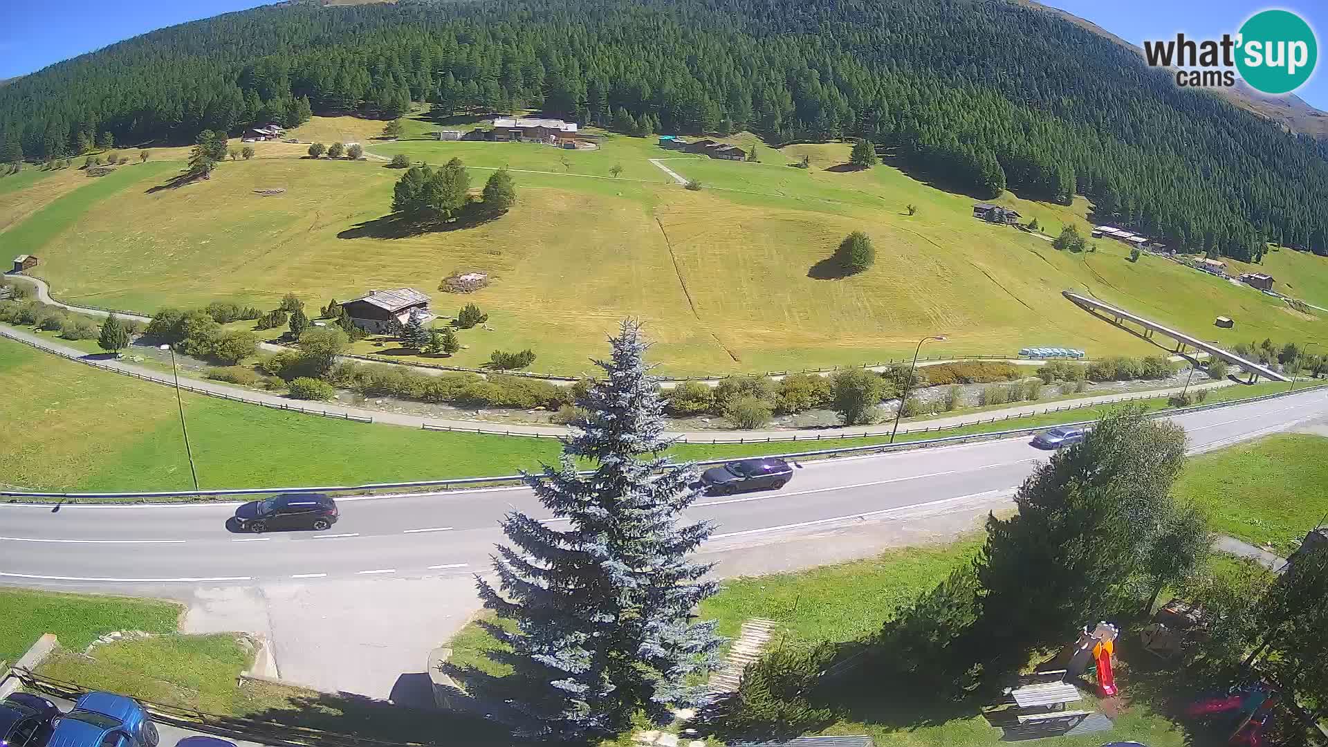 Webcam Livigno Hotel Primula