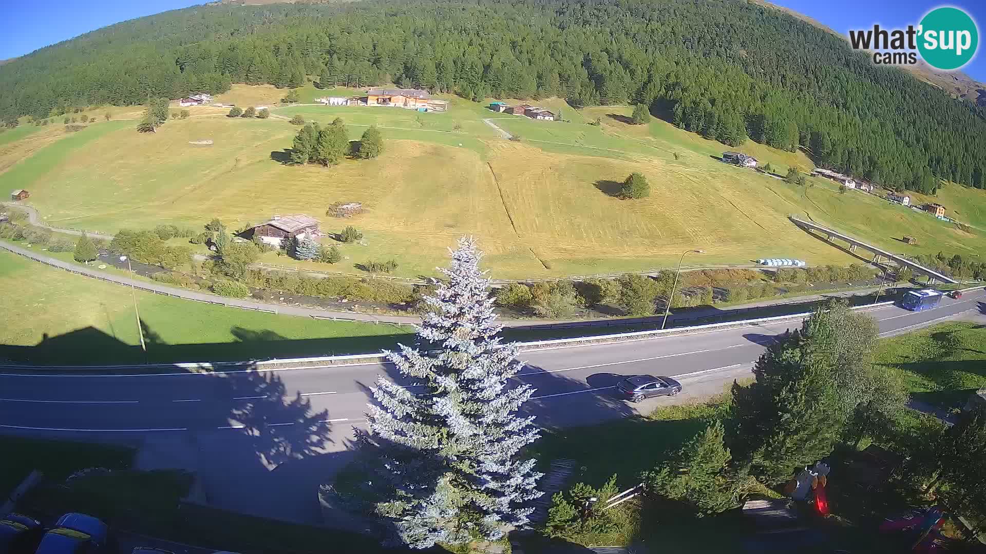 Livigno Cam Hotel Primula | Livigno smučišče