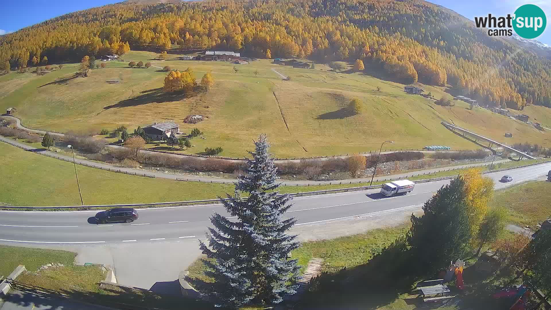 Livigno Cam Hotel Primula | Livigno smučišče