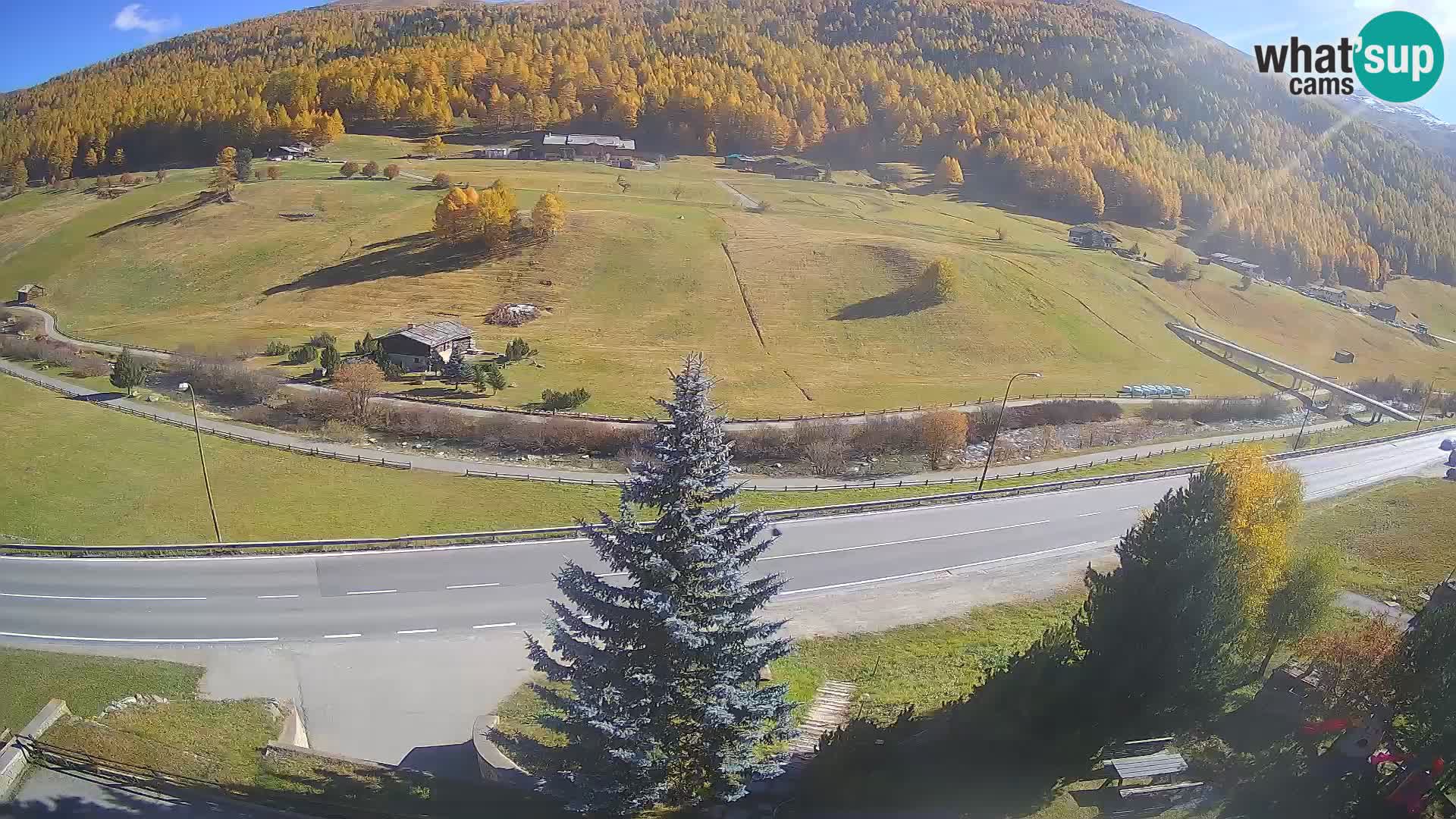 Camera Livigno Hotel Primula | ESQUIAR