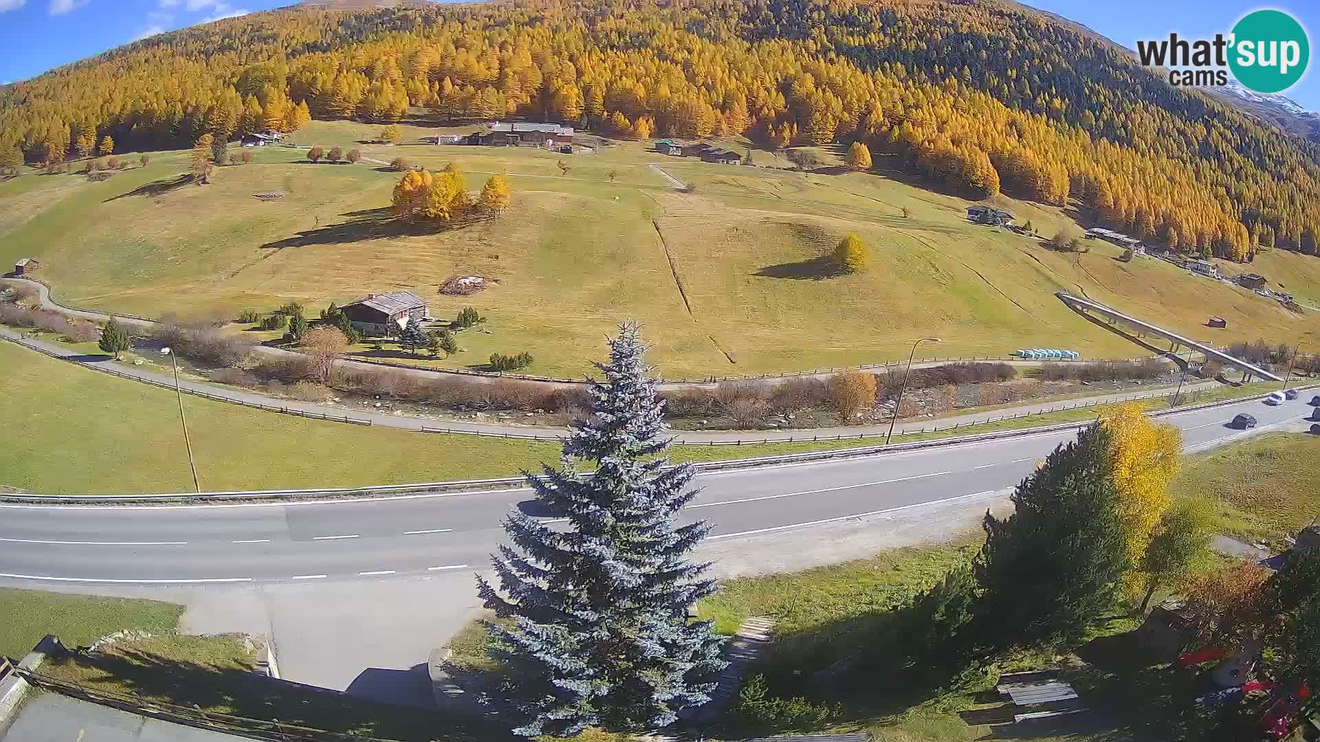 Livigno Hotel Primula webcam