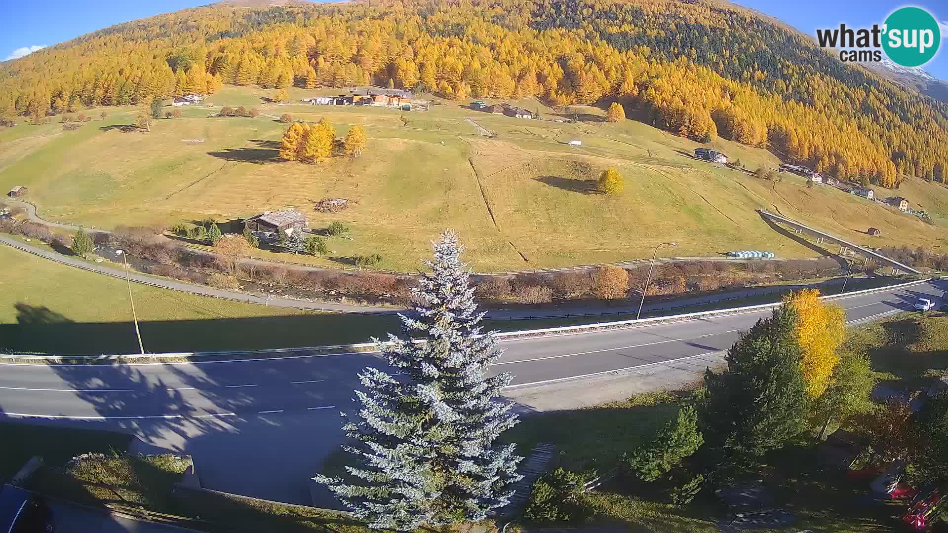Livigno webcam LIVE Hotel Primula