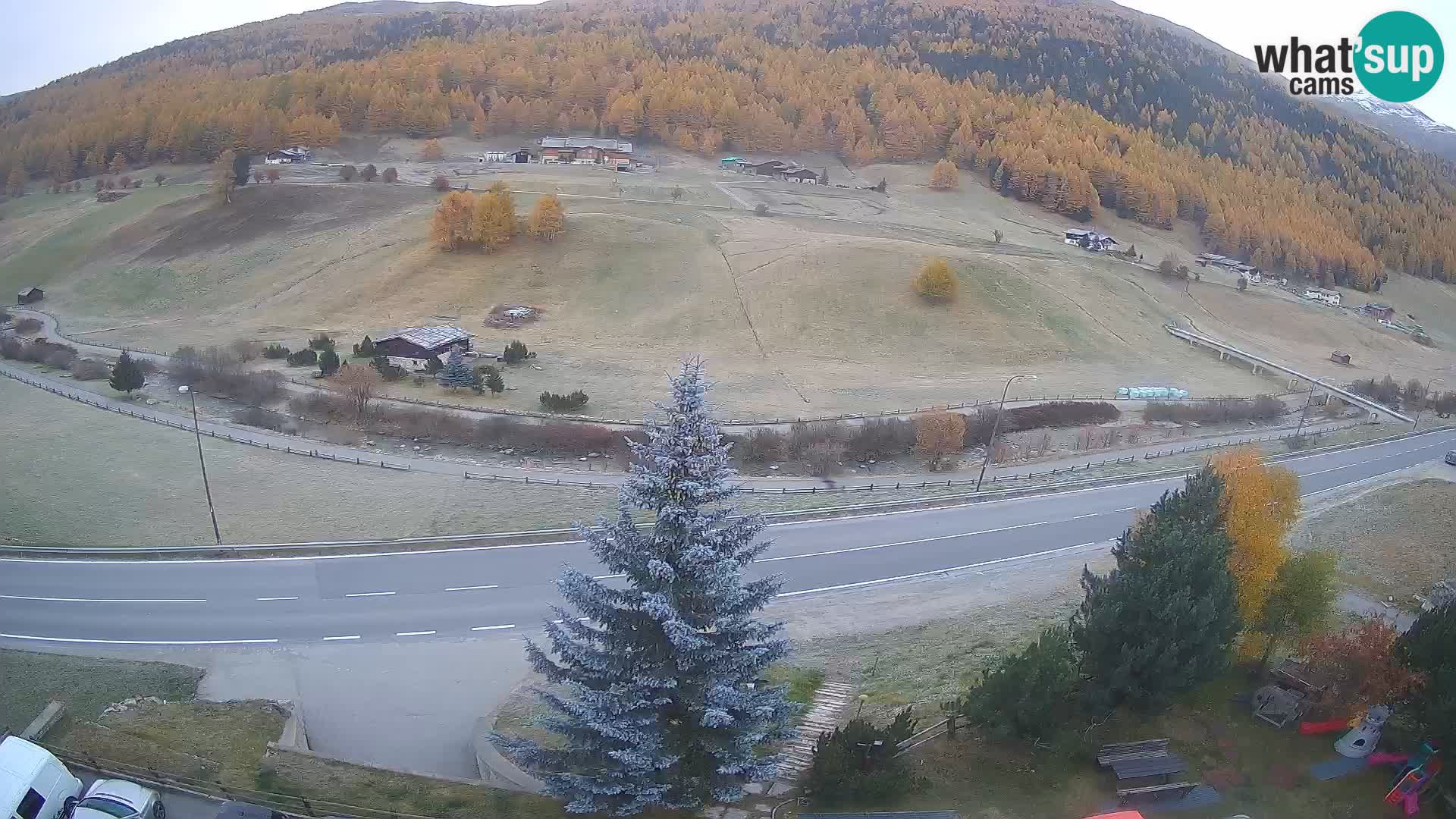 Webcam Livigno Hotel Primula