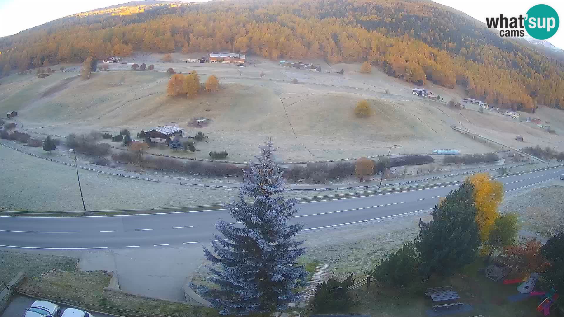 Livigno Cam Hotel Primula | Livigno smučišče