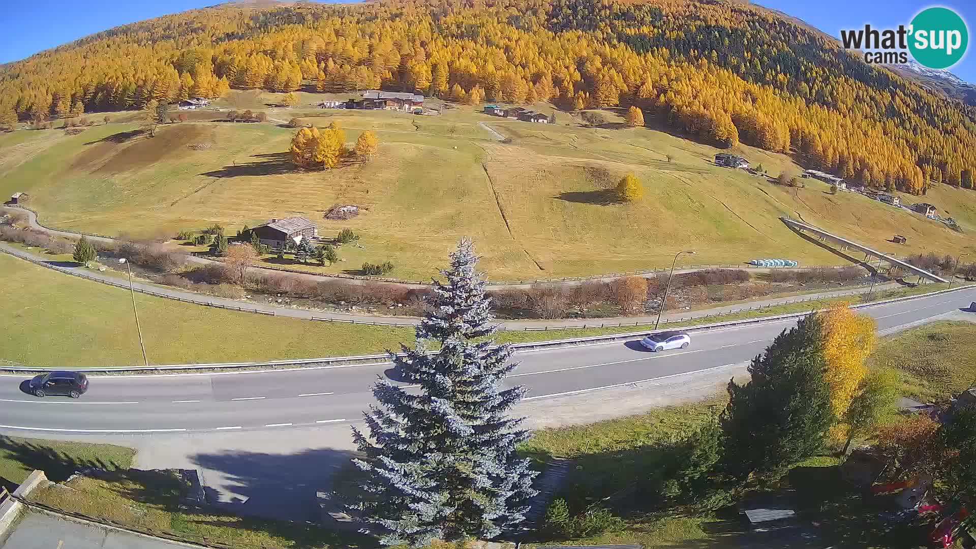 Web Cam Livigno | Hotel Primula
