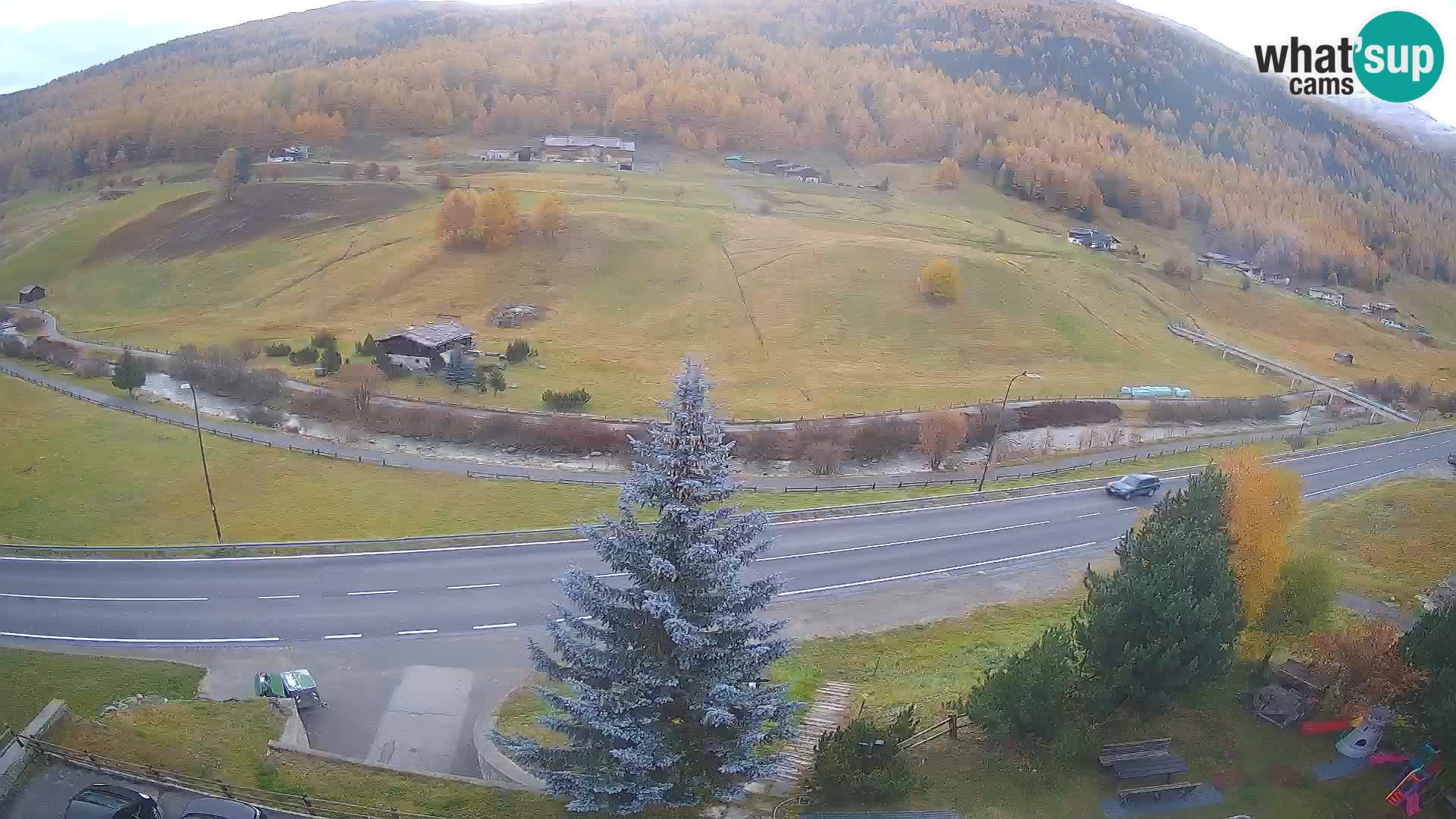 Web Cam Livigno | Hotel Primula