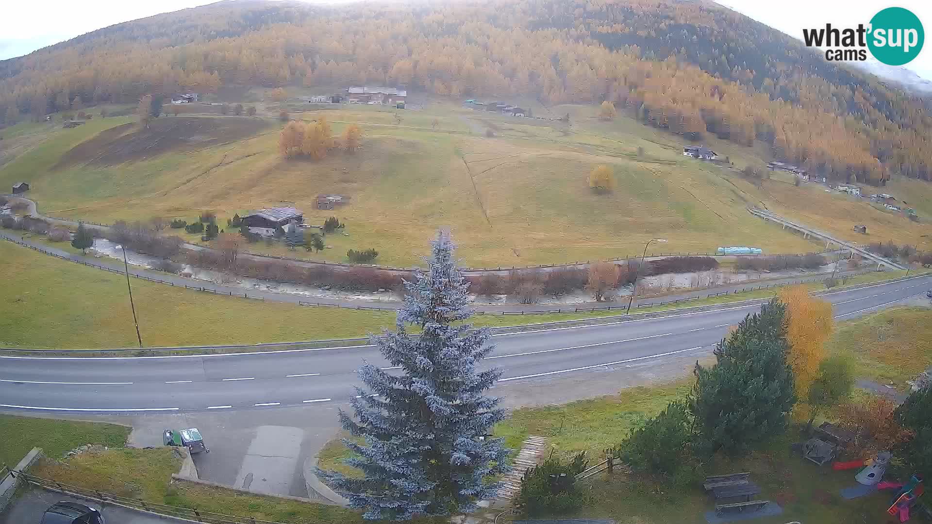 Webcam Livigno Hotel Primula