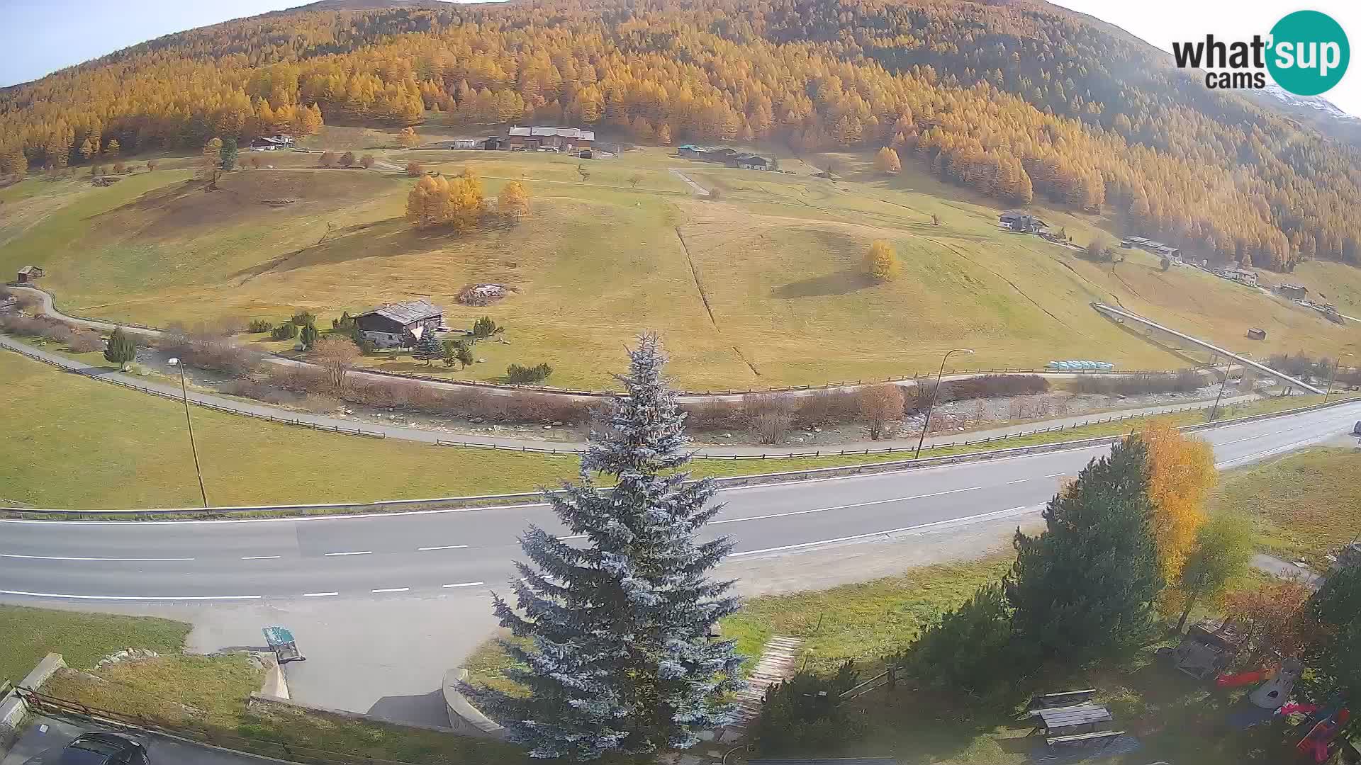 Livigno web kamera Hotel Primula