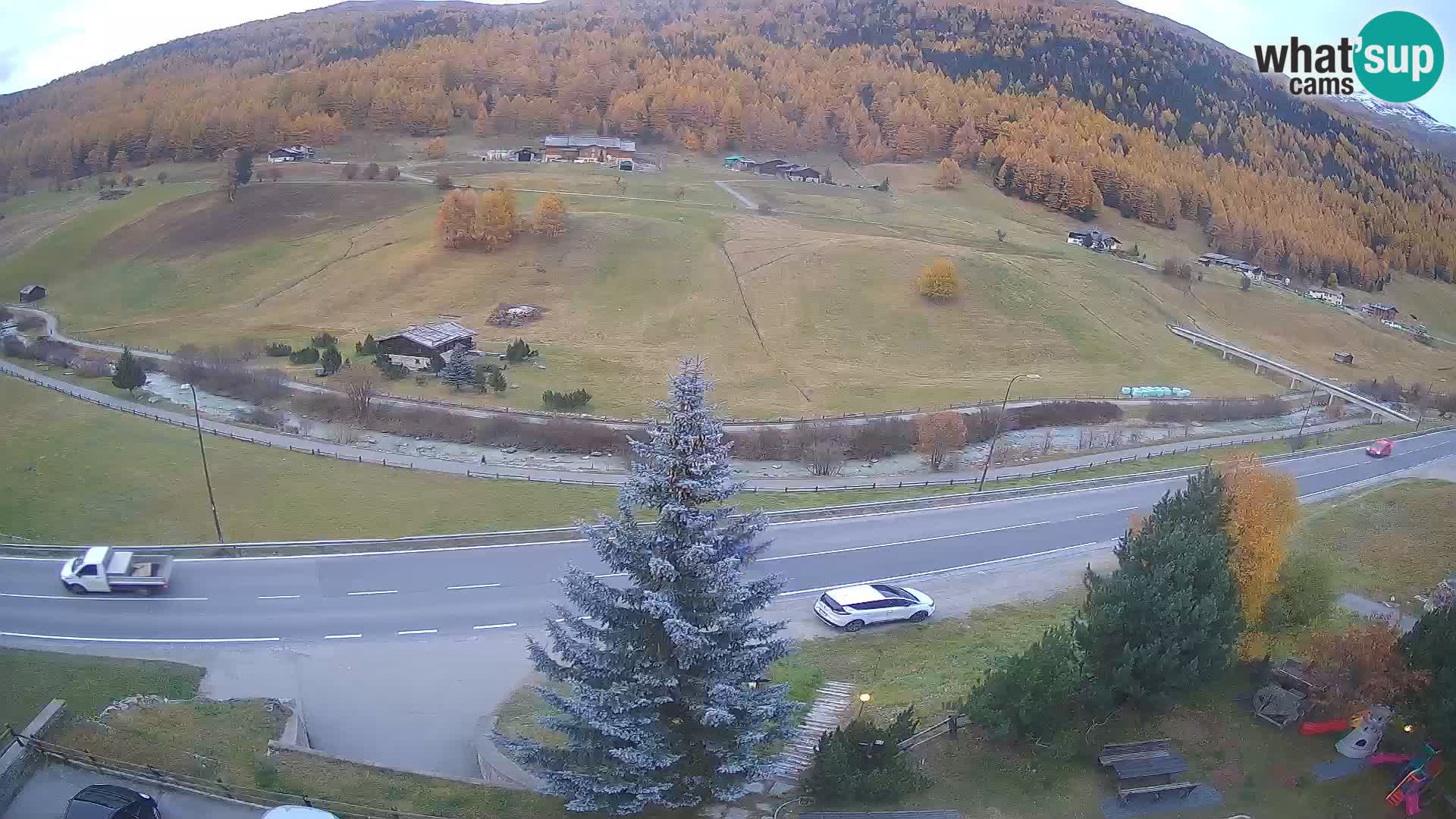 Webcam Livigno Hotel Primula