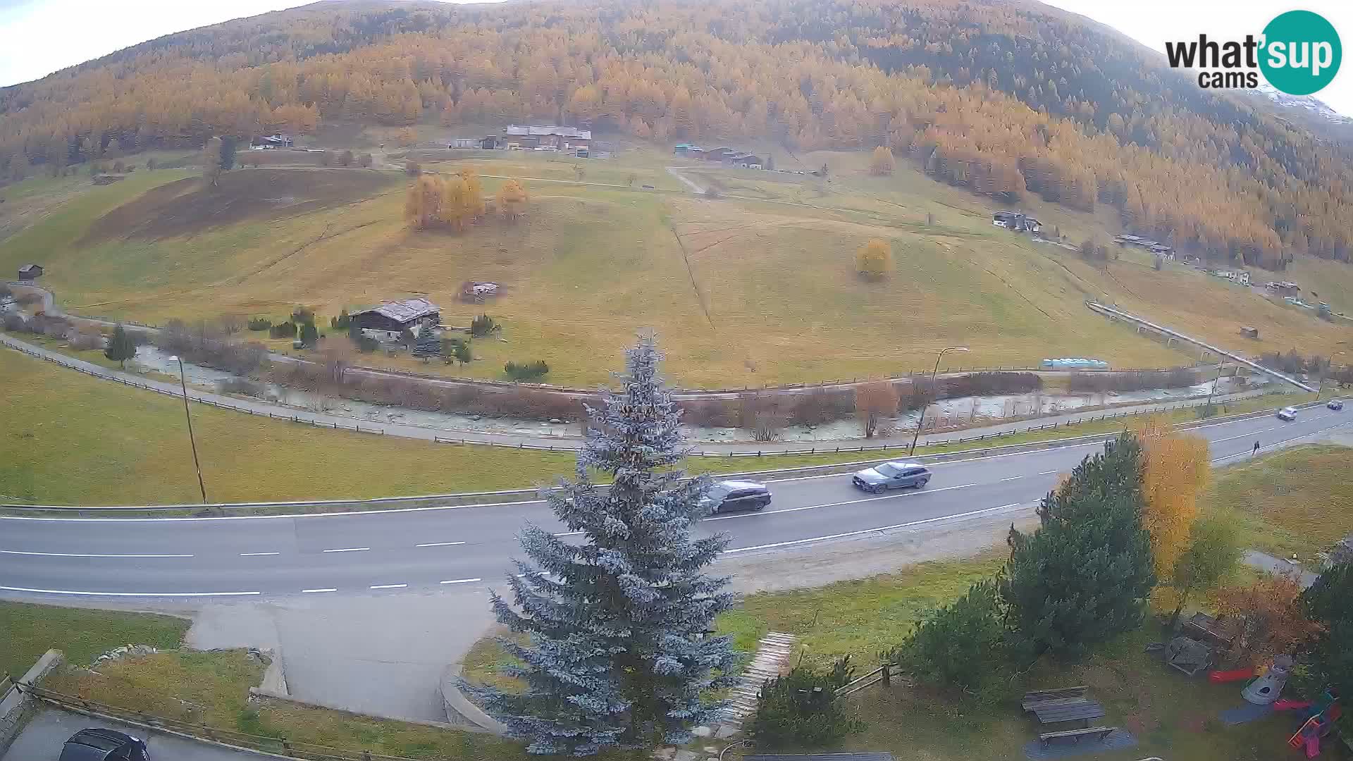 Livigno webcam LIVE Hotel Primula