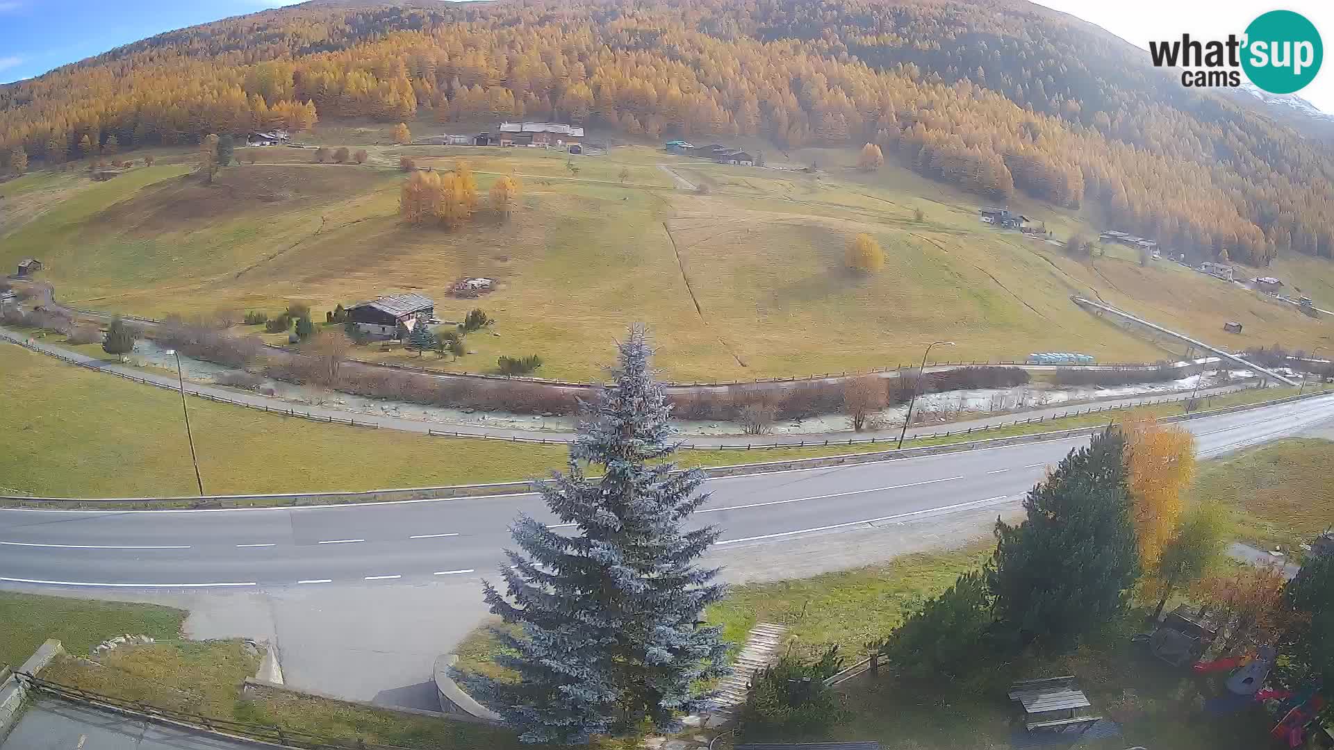 Livigno Cam Hotel Primula | Livigno smučišče