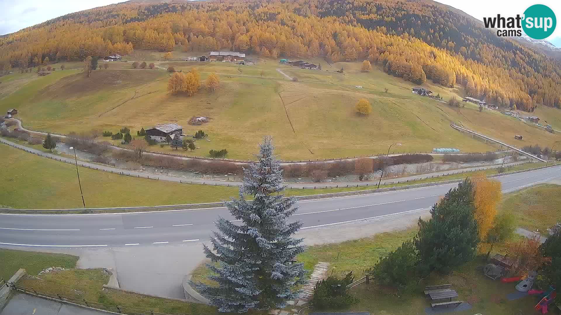 Webcam Livigno Hotel Primula