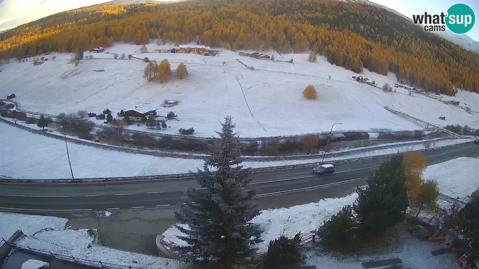 Webcam Livigno Hotel Primula
