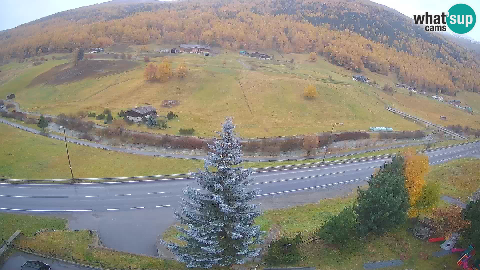 Web Cam Livigno | Hotel Primula
