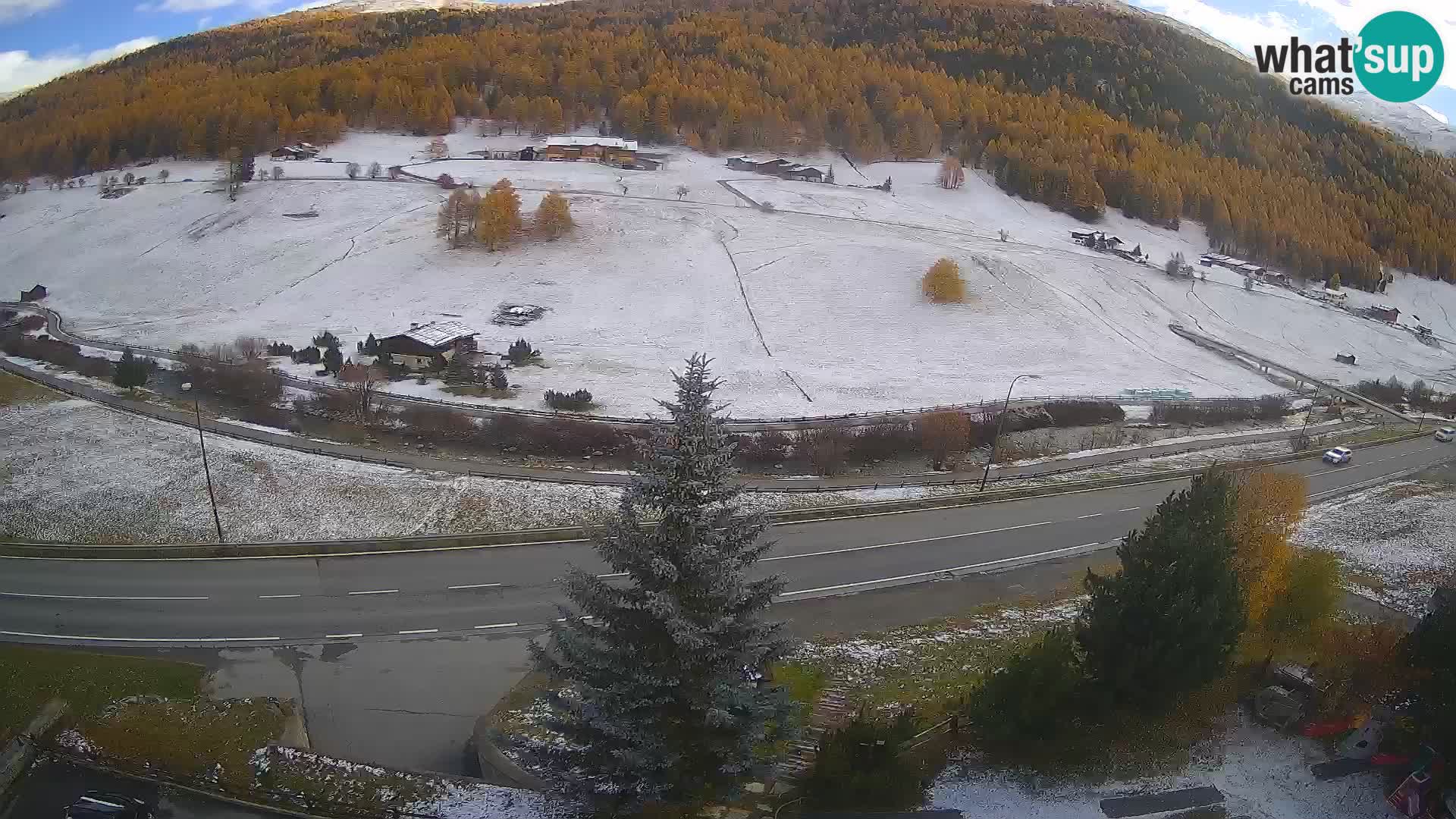 Livigno Cam Hotel Primula | Livigno smučišče
