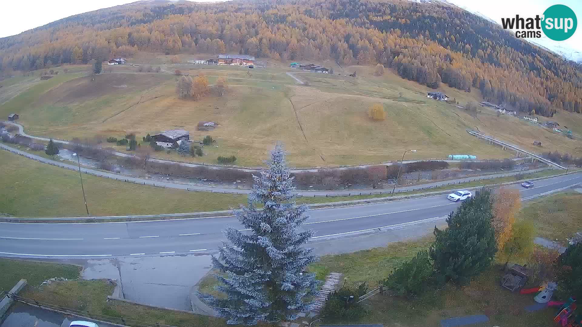 Livigno Cam Hotel Primula | Livigno smučišče