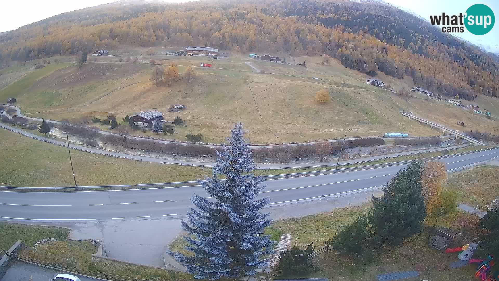 Web Cam Livigno | Hotel Primula