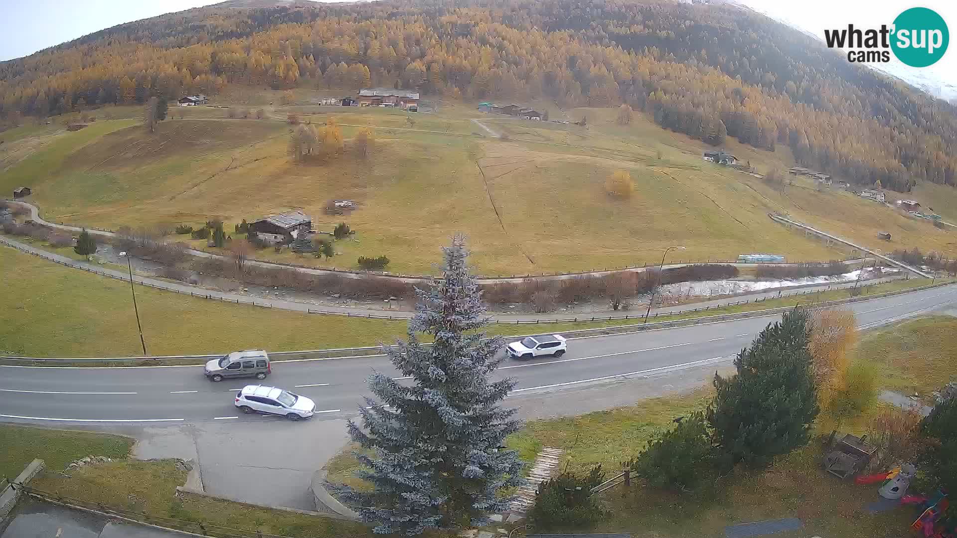 Web Cam Livigno | Hotel Primula