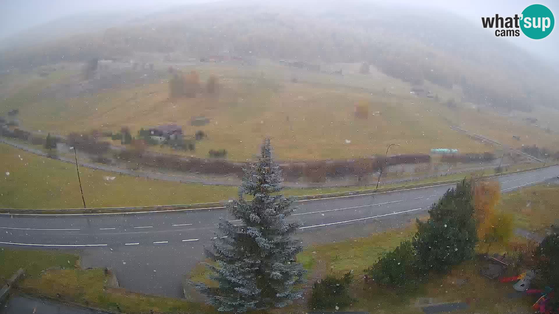 Webcam Livigno Hotel Primula