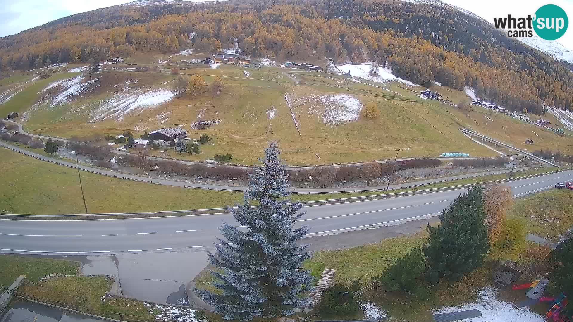 Camera Livigno Hotel Primula | ESQUIAR