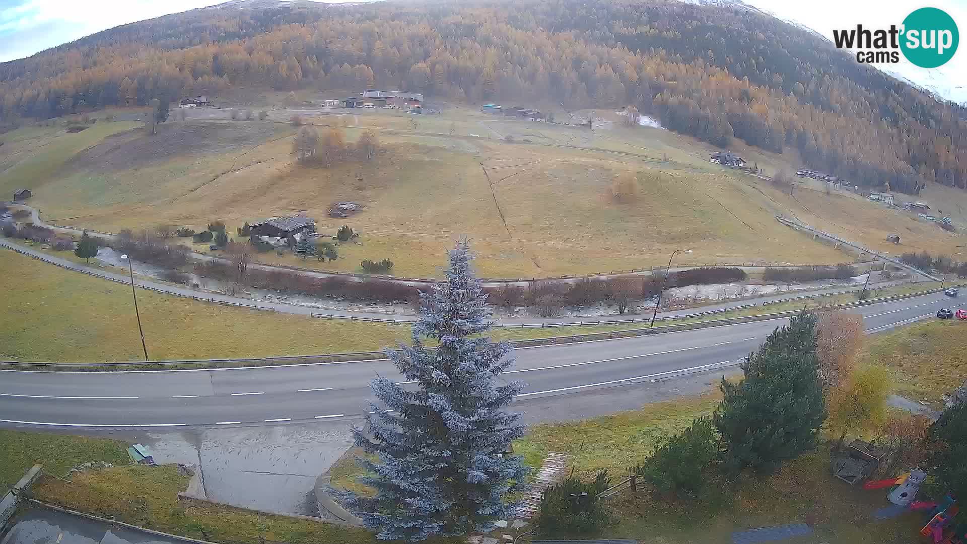 Livigno web kamera Hotel Primula